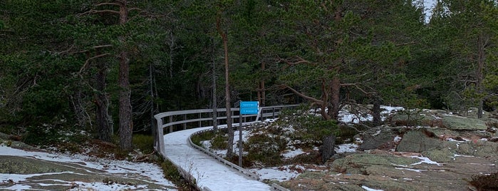 Skuleberget is one of Örnsköldsvik.