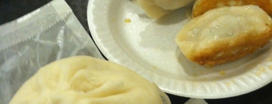 Vanessa's Dumpling House is one of NYC Chinese.
