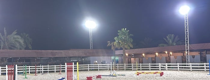 Medhal Equestrian Stable. is one of Horse ridding Riyadh.