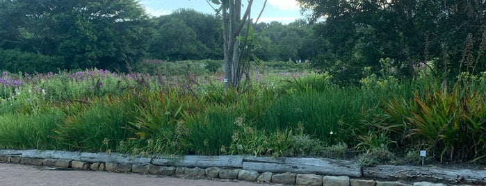 Kirstenbosch Botanical Gardens is one of Viagem.