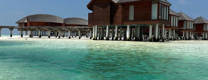 Anantara Dhigu Resort & Spa Maldives is one of Maldives.