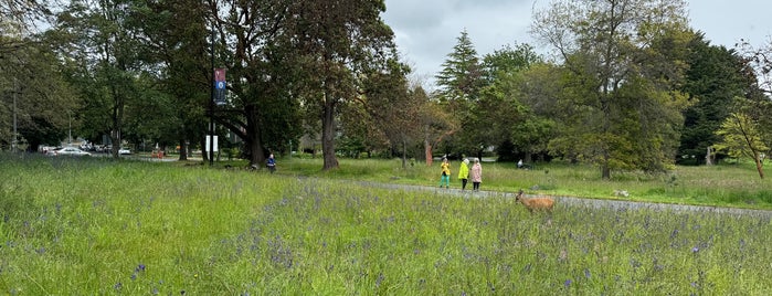 Beacon Hill Park is one of Victoria.