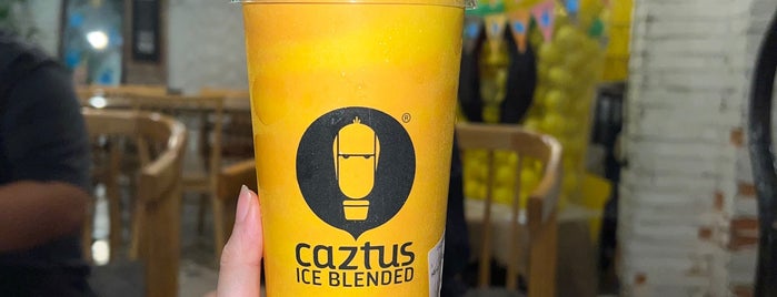 Caztus Ice-blended is one of Cafe for relaxing in Saigon.