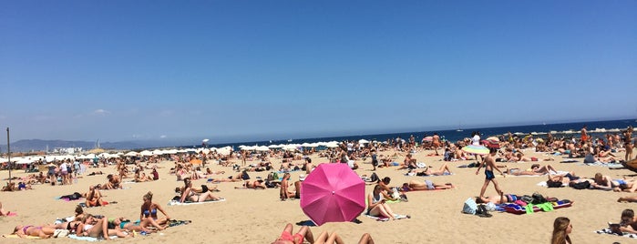 Пляж Барселонеты is one of Barcelona.