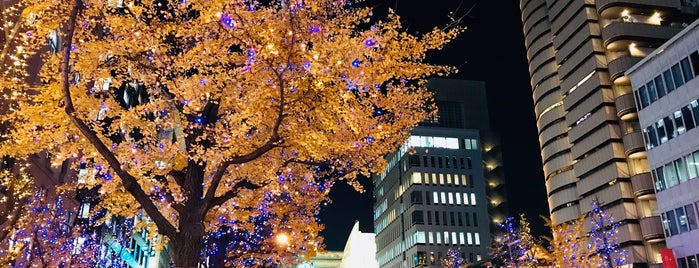 道頓堀橋北詰交差点 is one of 交差点@大阪府大阪市.