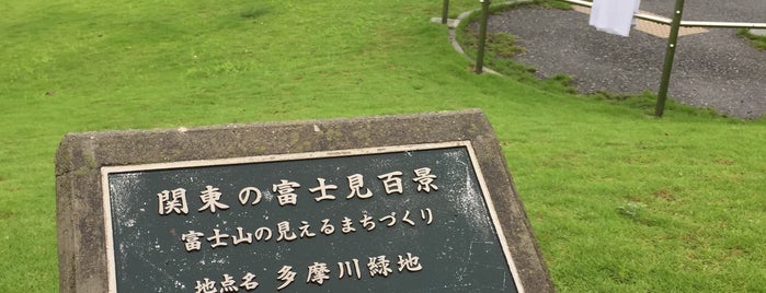多摩川緑地 is one of 高井 : понравившиеся места.