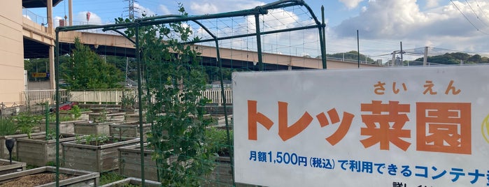 ザ・ガーデン トレッサ横浜店 is one of トレッサ横浜.