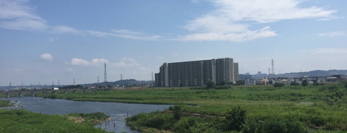 多摩川と残堀川の合流地点 is one of 多摩川.