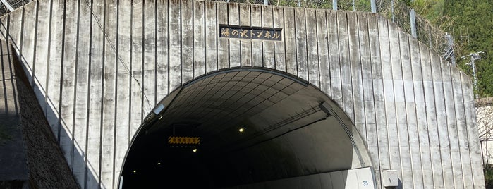 湯の沢トンネル is one of ランドヌ東京.
