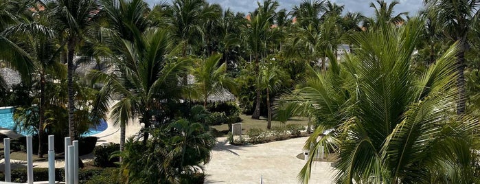 The Reserve at Paradisus Palma Real is one of Tempat yang Disukai Paula.