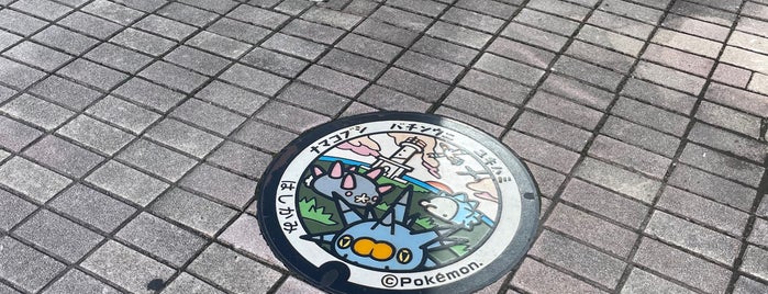 Pokémon manhole cover (Poké Lid) Pyukumuku Pincurchin Snom is one of ポケモンマンホール.