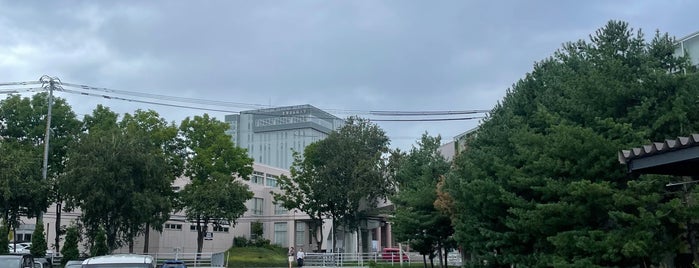 北海道医療大学 is one of 北海道の大学.