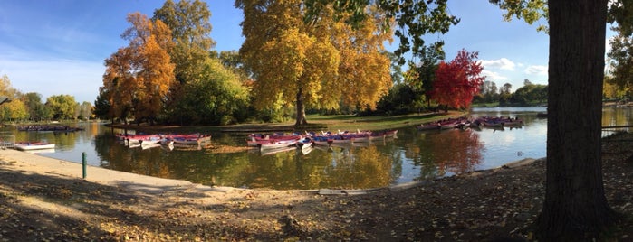 Lac Daumesnil is one of Locais curtidos por Nastasya.