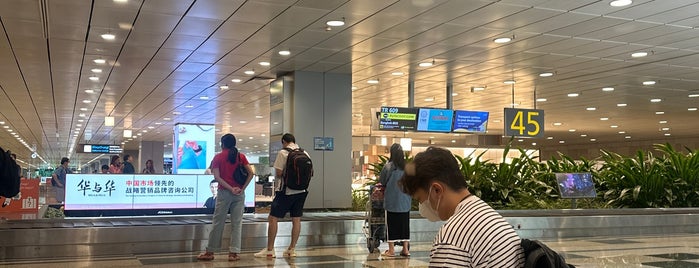 T3 Baggage Claim (Belts 41-48) is one of 2022 12월 싱가포르.