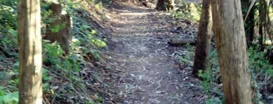 North Ridge Trail is one of Posti che sono piaciuti a Tantek.