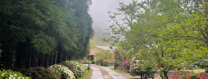 Furnas Lake Villas is one of Accommodations.