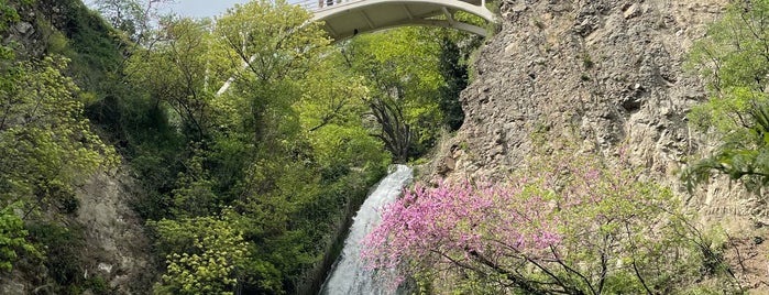 Waterfall in Botanical Garden is one of Best of Tbilisi & Kutaisi, Georgia.