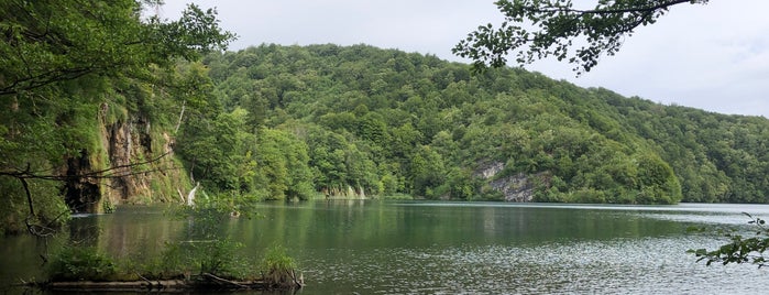 Jezero Galovac is one of Plitvice National Park.