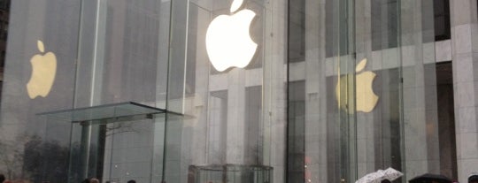 Apple Fifth Avenue is one of NY Shopping.