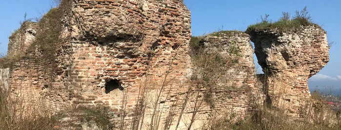 Salsal Castle | قلعه صلصال is one of Locais curtidos por Sarah.