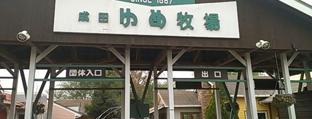 成田ゆめ牧場 is one of Park.