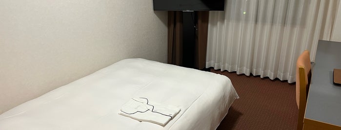 Hotel Alpha-One Sakata is one of 定宿.