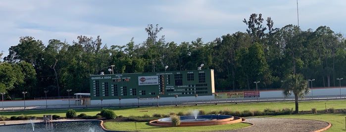 Naples-Fort Myers Greyhound Racing and Poker is one of Bonita Springs.