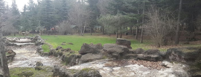 Bayraktepe Tabiat Parki is one of GEZDİM-GÖRDÜM.