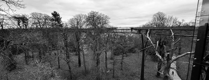 Rhizotron & Xstrata Treetop Walkway is one of London '22.