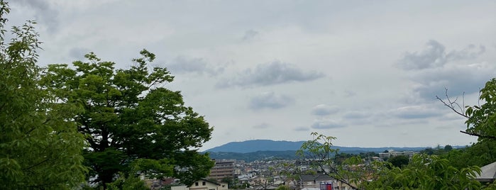 九条公園 is one of Great outdoor in NARA.