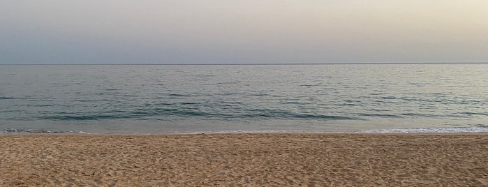 Praia do Trafal is one of Praias do Algarve.