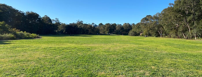 Moore Reserve Off-Leash Dog Area is one of Local.