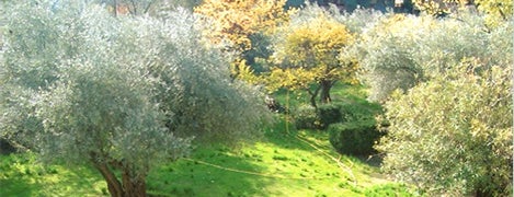 Olivar de Castillejo is one of Jardines bonitos de Madrid.