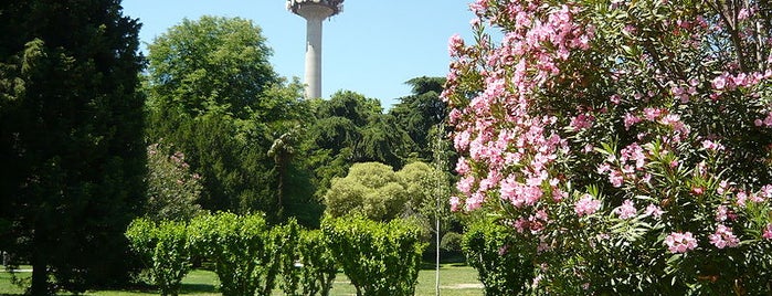Parque Quinta de la Fuente del Berro is one of Jardines bonitos de Madrid.