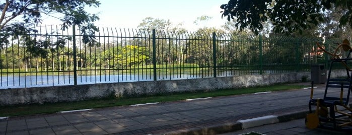 Laguinho de Interlagos (Parque Jacques Cousteau) is one of Interlagos.