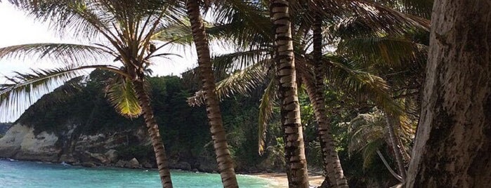 Playa Bretón is one of Lugares favoritos de Destinos.