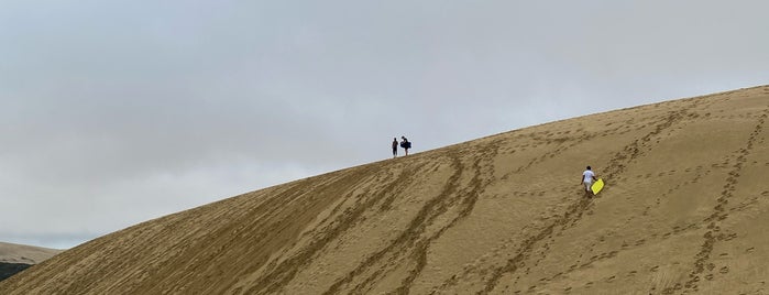 Te Paki Sand Dunes is one of New Zealand.