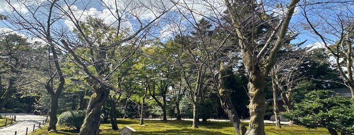 桜ヶ岡 is one of 兼六園.