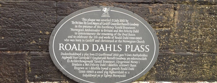 Roald Dahl Plass is one of Cardiff-Wales.