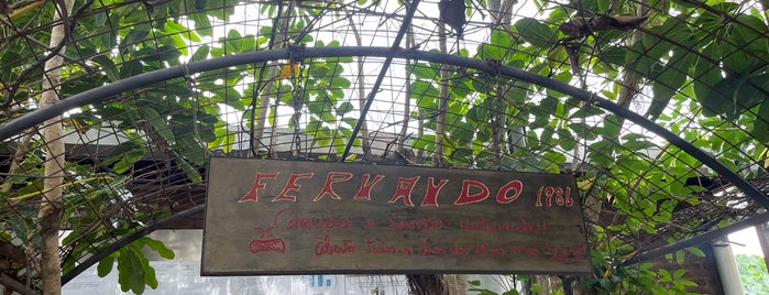 Restaurante Fernando is one of Macau Food.