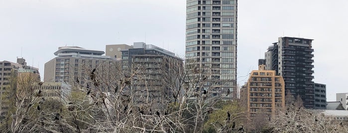 不忍池弁天堂 is one of 御朱印をいただいた寺社記録.