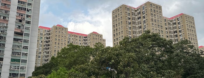 Shun Lee Estate is one of 公共屋邨.