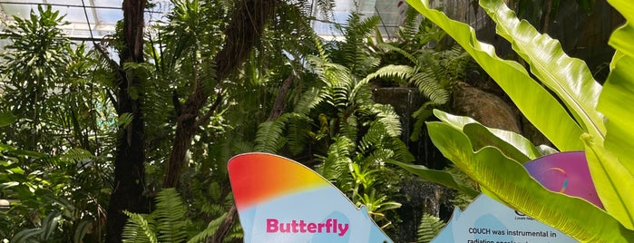 Australian Butterfly Sanctuary is one of AUSTRALIA.