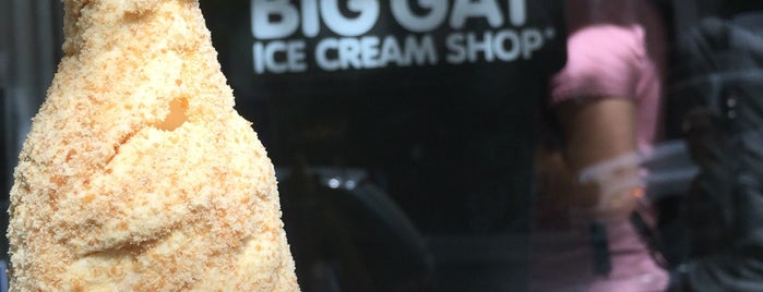 Big Gay Ice Cream Shop is one of Delicious.