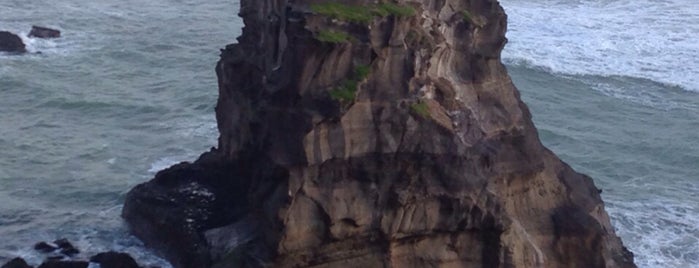 Waiake Beach is one of Guide to North Shore City's best spots.