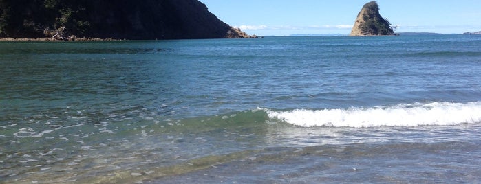 Waiwera Beach is one of NZ2.