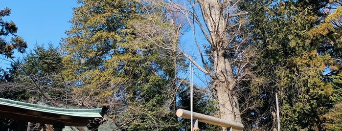 深見神社 is one of 海老名・綾瀬・座間・厚木.