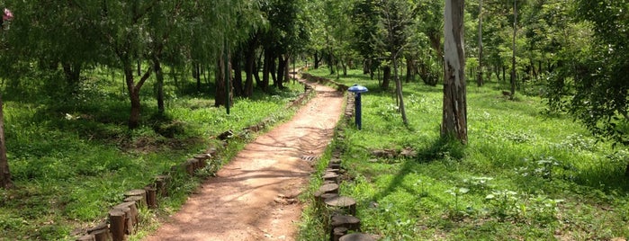 Parque Nacional De Los Remedios is one of Parques Nacionales en el Centro de México.