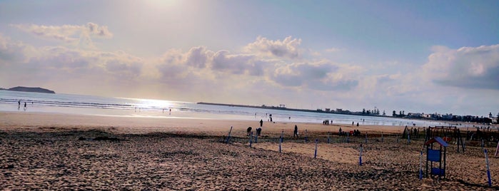 Essaouira Beach is one of HEDONISM.