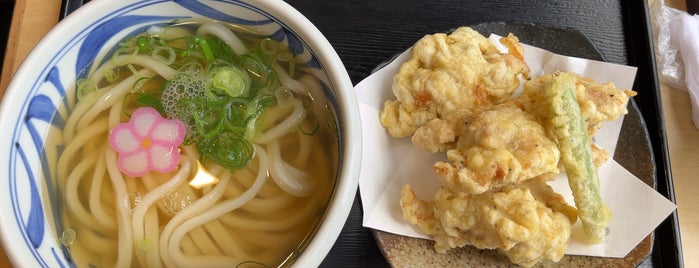 手打ちうどん 叶屋 is one of udon.